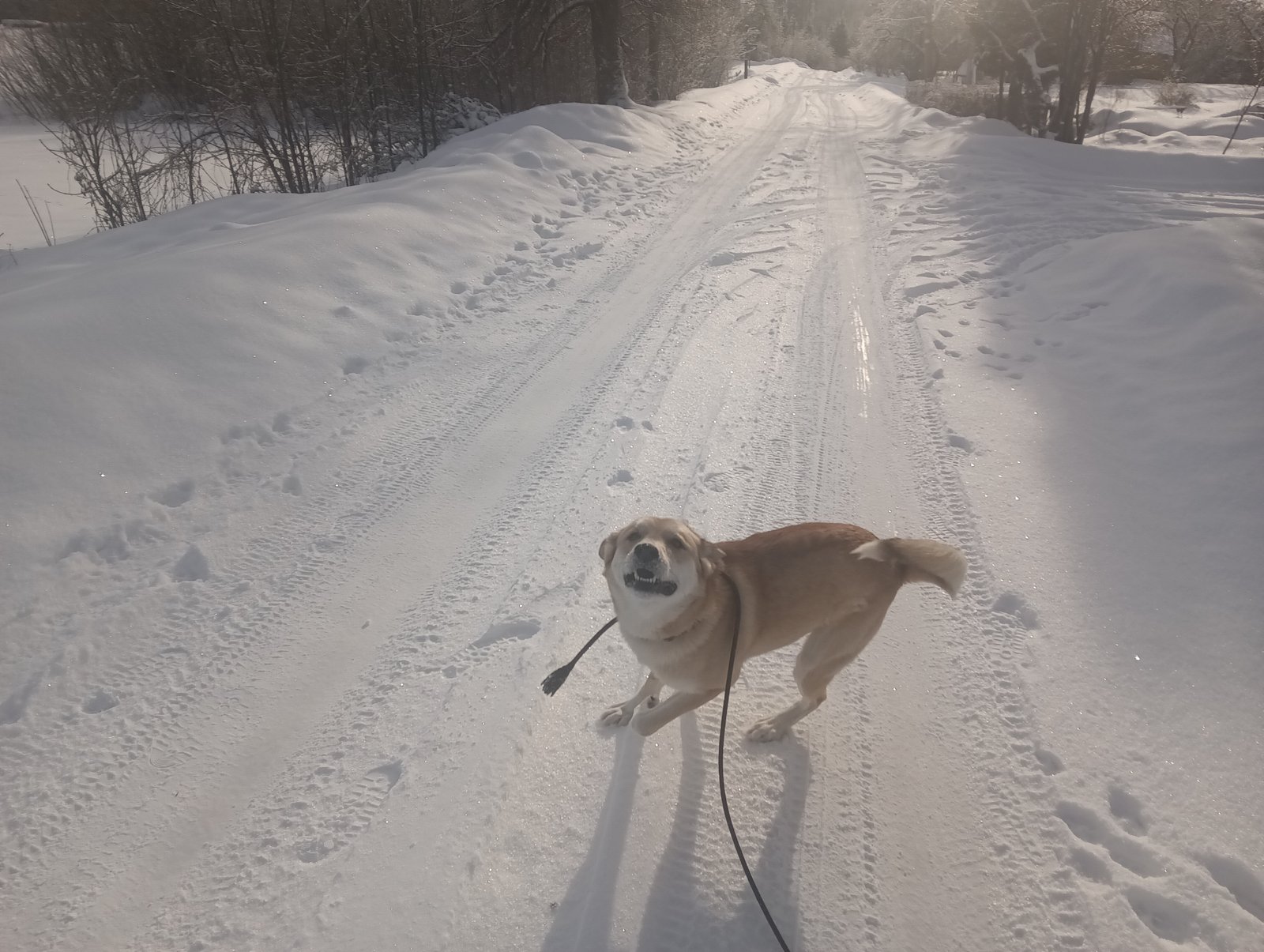 Įrašo nuotrauka 2 iš 4